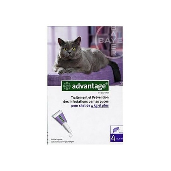 Advantage 80 chat 4 x 0.8 ml