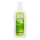 Weleda blé shampooing équilibrant cuir chevelu a pellicules 190ml