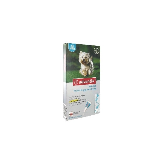 Bayer advantix petit chien 4 à 10 kg 6 pipettes