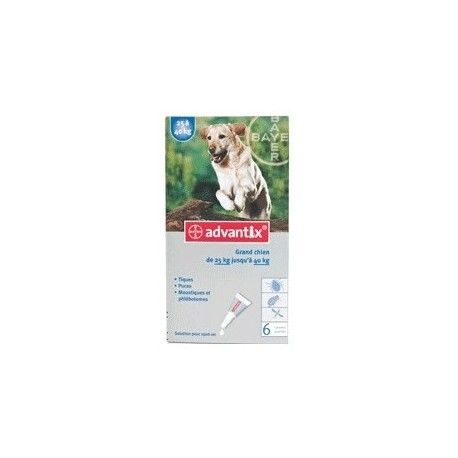 Bayer advantix grand chien 25 à 40 kg 6 pipettes