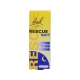 Bach rescue nuits paisibles 10ml