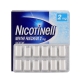 Nicotinell menthe fraicheur 2 mg 204 gommes à mâcher