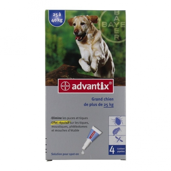 Bayer Advantix Antiparasitaire Grands Chiens de 25kg à 40kg