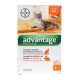 Bayer Advantage 40 Solution Antipuce Pour Chat et Lapin de - 4kg 4 Pipettes