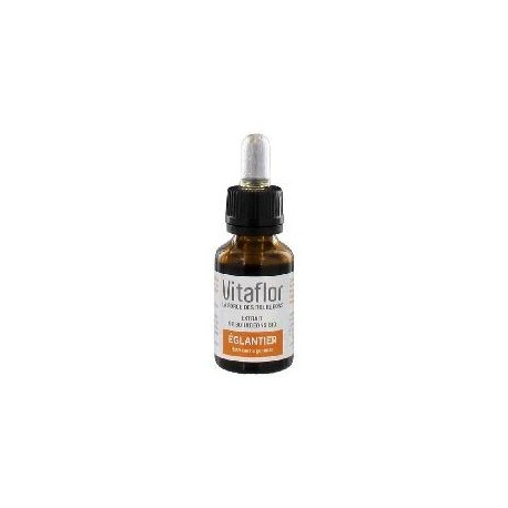 Vitaflor Extrait de Bourgeons Bio Eglantier 15 ml