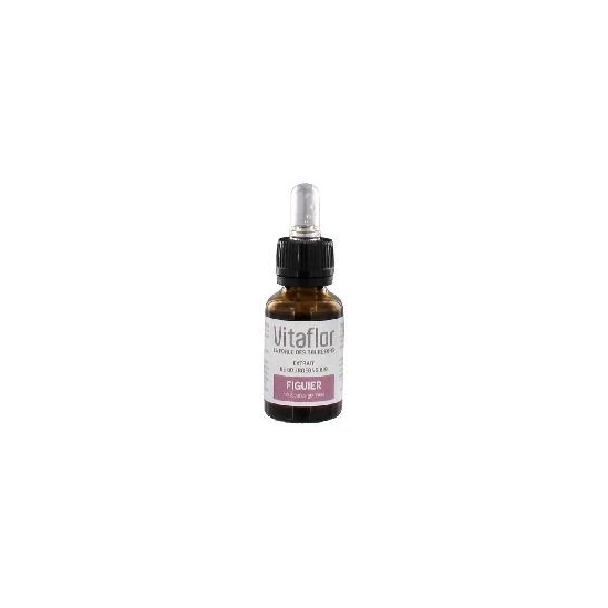 Vitaflor Extrait de Bourgeons Bio Figuier 15 ml