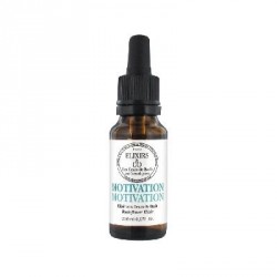 Elixirs & Co Motivation 20 ml