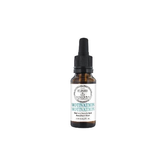 Elixirs & Co Motivation 20 ml