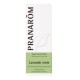 Pranarom huile essentielle lavande vraie 10ml