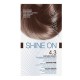 Bionike Shine on soin coloration 4.3 chatain doré