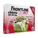 Frontline tri-actif chien XL boite de 6 pipettes