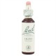 Fleurs de bach olive 20ml