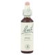 Fleurs de bach pine 20ml