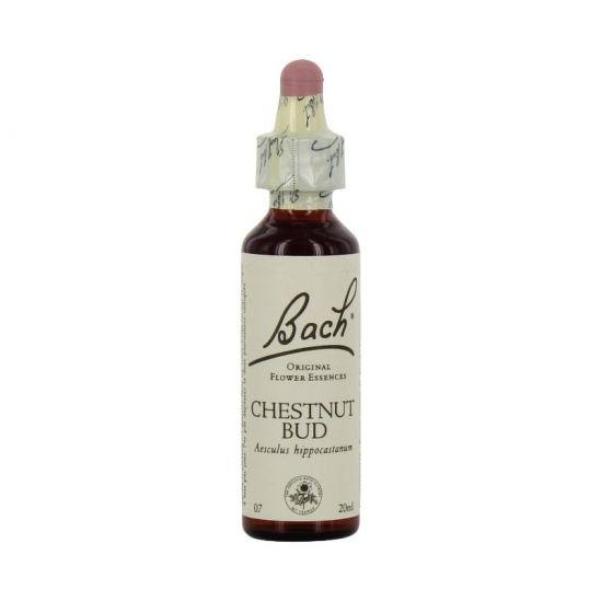 Fleurs de bach chesnut bud 20ml