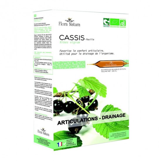 Flora natura cassis articulations & drainage bio 20 ampoules 15ml Flora natura cassis articulations & drainage bio 20 ampoules 15ml