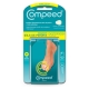 Compeed Pansements &OEligil-de-Perdrix + x 6