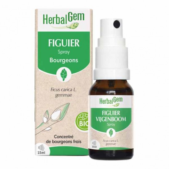 Herbalgem Figuier spray Bourgeons bio 15ml Herbalgem Figuier spray Bourgeons bio 15ml